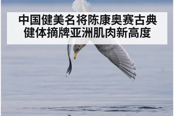 中国健美名将陈康奥赛古典健体摘牌亚洲肌肉新高度